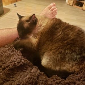 Meet your Posher, Liz